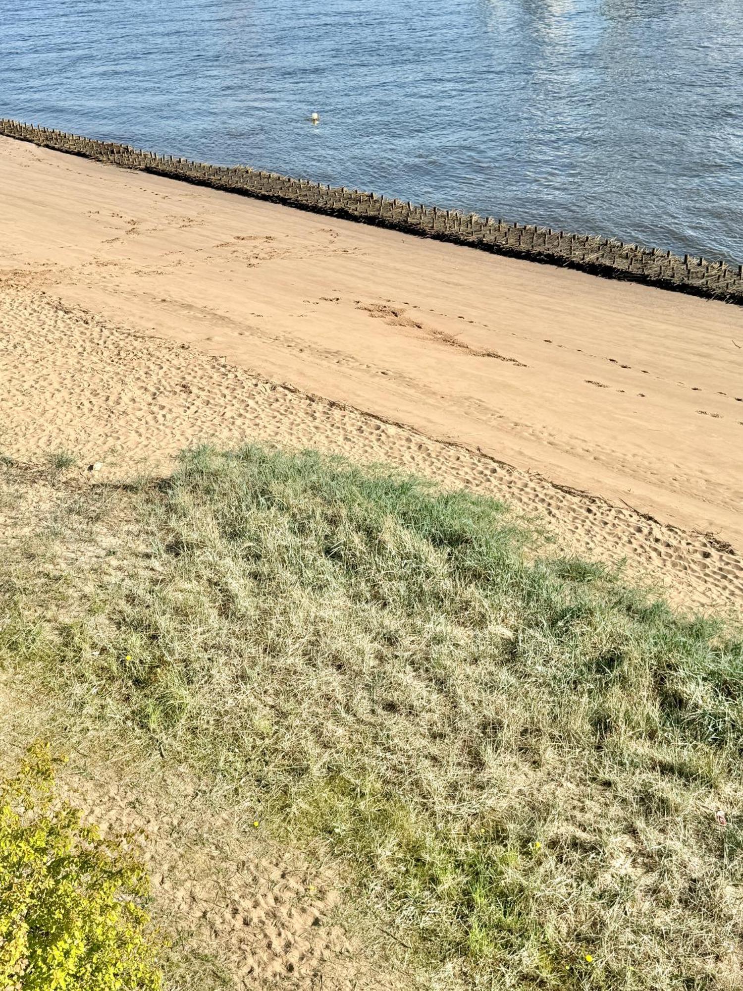 Gaestehaus Weserblick Am Weser-Sandstrand Berne Bagian luar foto